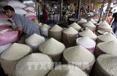 Indonesia planea establecer un fondo de emergencia para garantizar la seguridad alimentaria