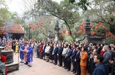 Diplomáticos extranjeros participan en gira primaveral de amistad en Hanoi