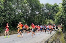 Nutrida participación compite en el Maratón de Descubrimiento 204 de Quang Binh