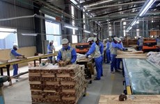 Vietnam aspira a alcanzar 15,2 mil millones de dólares por exportaciones de madera 