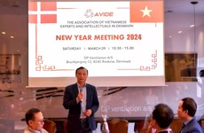 Expertos vietnamitas en Dinamarca trazan rumbo hacia 2024