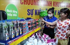 Hanoi lanzará Programa de Promoción Centrado en mayo
