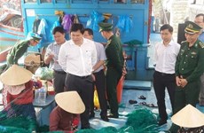Quang Ngai toma medidas enérgicas contra la pesca ilegal
