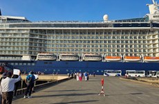 Vietnam registra aumento de turistas extranjeros por vía marítima
