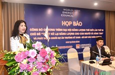 Vietnam participará en el 26° Congreso Mundial de Energía