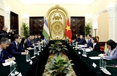Crean nuevo impulso para fortalecer la cooperación Vietnam-Uzbekistán