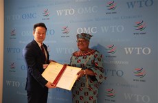 OMC reconoce contribuciones de Vietnam al sistema multilateral de comercio