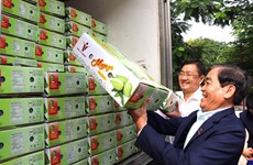 Vietnam, decimotercer mayor proveedor de mango de Estados Unidos