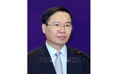 Comité Central del Partido acepta renuncia de Vo Van Thuong a sus cargos