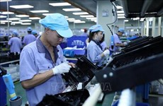 Se prevé un “boom” de inversión extranjera en Vietnam en 2024
