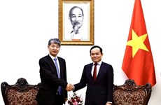 Viceprimer vietnamita recibe al subdirector general de la OIEA