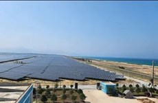 Grupo surcoreano SK desarrollará proyectos de energía renovable en Vietnam