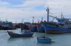 Provincia vietnamita impulsa propaganda sobre pesca ilegal