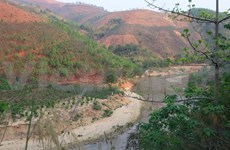 Vietnam tiene 14,86 millones de hectáreas de bosques