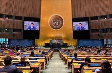 Asamblea General de ONU aprueba resolución propuesta por Vietnam sobre el Día Internacional del Juego