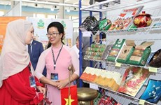 Presentan información sobre mercado argelino a empresas vietnamitas