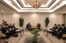 Ciudad Ho Chi Minh aspira a fortalecer cooperación con localidades norcoreanas