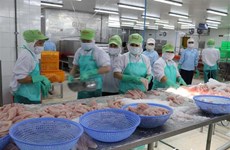 Superávit de productos agroforestales y pesqueros de Vietnam casi se duplica