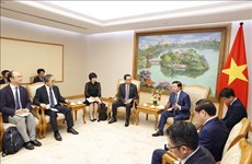 Vietnam y Japón promueven cooperación en proyectos de transición a energías verdes