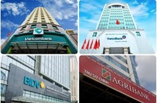 Anuncian lista de 14 instituciones crediticias importantes de Vietnam en 2024