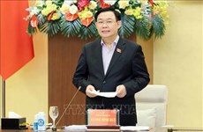Promueven políticas específicas para el desarrollo de la provincia de Nghe An