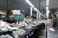 Vietnam siguió siendo el segundo exportador mundial de calzado en febrero