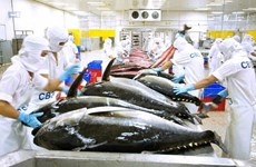 Productos de atún vietnamita exportados a 80 mercados en todo el mundo
