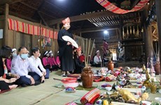 Presentará Vietnam dos candidatos a Patrimonio Cultural de UNESCO