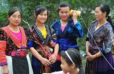 Conservan melodías de primavera en meseta rocosa de Ha Giang