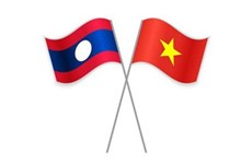 Aprueban plan para implementar acuerdo de asistencia jurídica en materia civil Vietnam - Laos