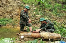 Desactivan bomba remanente de guerra en provincia central de Nghe An