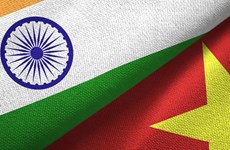 Vietnam mantiene el crecimiento de exportaciones a India