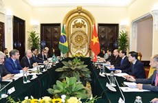 Consolidan la asociación integral entre Vietnam y Brasil