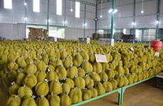 Productos agrícolas vietnamitas son más buscados en mercado internacional