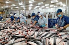 China, EE.UU. y Japón son mayores importadores de productos pesqueros de Vietnam