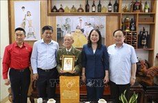 Presidenta interina vietnamita visita soldados de Dien Bien