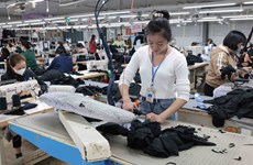 Fluye inversión extranjera directa hacia sector textil y de confección de Vietnam