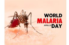 Vietnam elimina la malaria en 46 provincias y ciudades