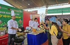 Kon Tum: Récord de Vietnam en preparación de platos utilizando ginseng local