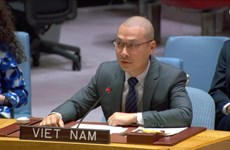 Vietnam pide máxima moderación y fin de las hostilidades en Medio Oriente