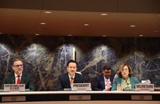 Vietnam preside 14ª sesión de Comisión de Inversión, Empresa y Desarrollo de UNCTAD