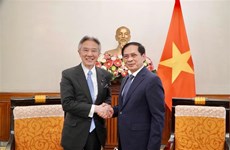 Vietnam y Japón buscan intensificar cooperación en cultura, educación, ciencia y tecnología