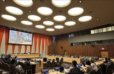 Vietnam cumple con éxito papel de presidente del Grupo Asia-Pacífico en ONU