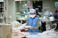Compañías vietnamitas responden a la demanda interna de mascarillas sanitarias