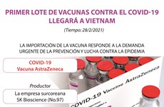 Primer lote de vacunas contra el covid-19 llegará a Vietnam