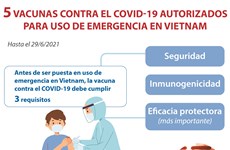 Cinco vacunas contra el COVID-19 autorizados para uso de emergencia en vietnam