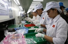 BAD muestra optimismo sobre perspectivas económicas de Vietnam 