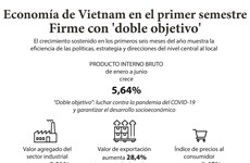 Economía de Vietnam en el primer semestre: Firme con 'doble objetivo'