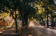 Contemplan belleza de la calle más romántica de Hanoi en otoño