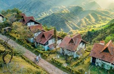 Turistas vietnamitas eligen resorts lujosos en ocasión del Tet